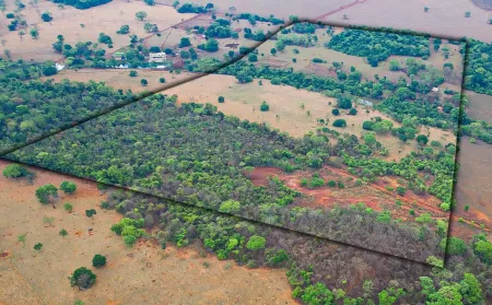 Fazenda de 9 Alqueires em Goianira